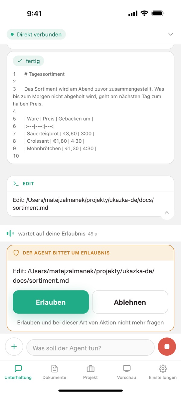 Der Agent wartet auf Erlaubnis